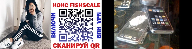 КОКАИН Fish Scale  Западная Двина 