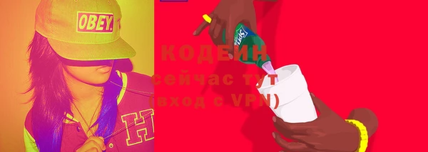 шишки Абаза