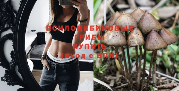 apvp Абдулино