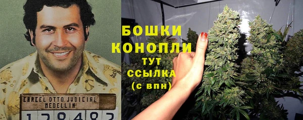 шишки Абаза