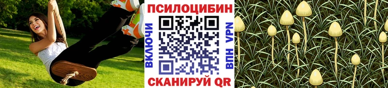Псилоцибиновые грибы мицелий  купить   Западная Двина 